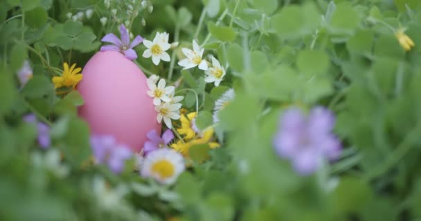 Húsvéti Tojás Virágokkal Teli Kertben — Stock videók