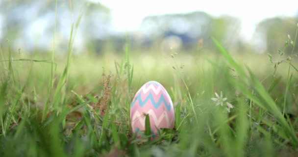 Œuf Pâques Caché Dans Herbe Pour Une Chasse Aux Œufs — Video