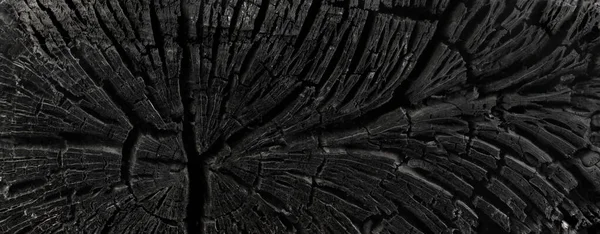 Dark black background of a burnt tree, soot, and ash. Burn texture. Aftermath of a forest fire.