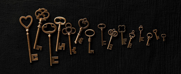 Ряд украшенных ключей от скелетов. Концепция поиска нескольких вариантов разблокировки возможностей, поиска решений или достижения целей.