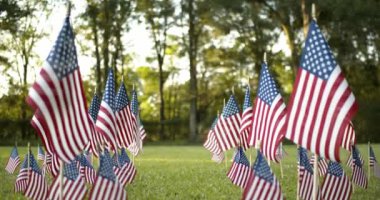 Güneş ışığının altında, rüzgarda dalgalanan Amerikan bayrakları arasından geçiyor. ABD bayramları için vatanseverlik kavramı, 4 Temmuz, Anma Günü veya Gaziler Günü.