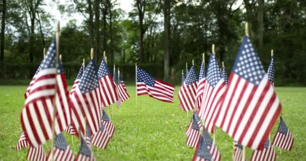 Rijen Van Langzaam Zwaaiende Amerikaanse Vlaggen Gericht Een Amerikaanse Vlag — Stockvideo