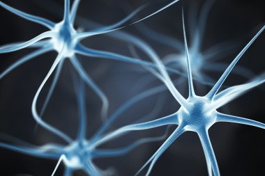 Neurons in the brain clipart
