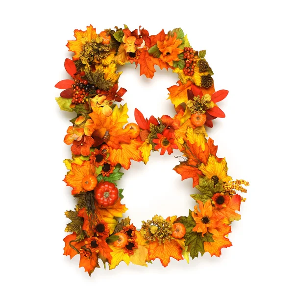 Autumn alphabet — Stock Photo, Image