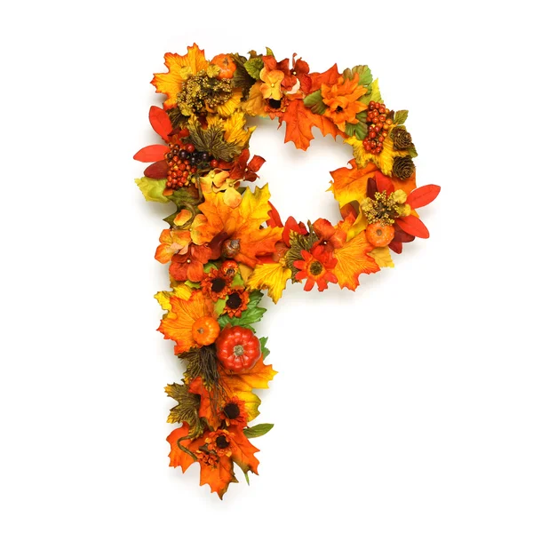 Autumn alphabet — Stock Photo, Image