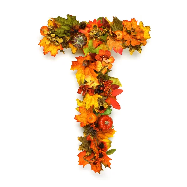 Autumn alphabet — Stock Photo, Image