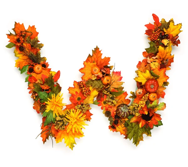 Alfabeto de outono — Fotografia de Stock