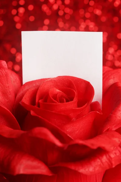 Rosa vermelha com nota em branco — Fotografia de Stock