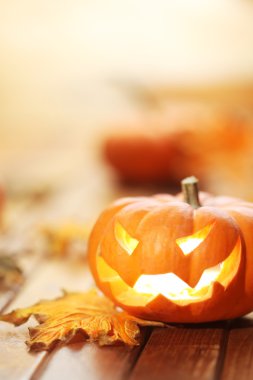 Halloween jack o'Fener arka plan