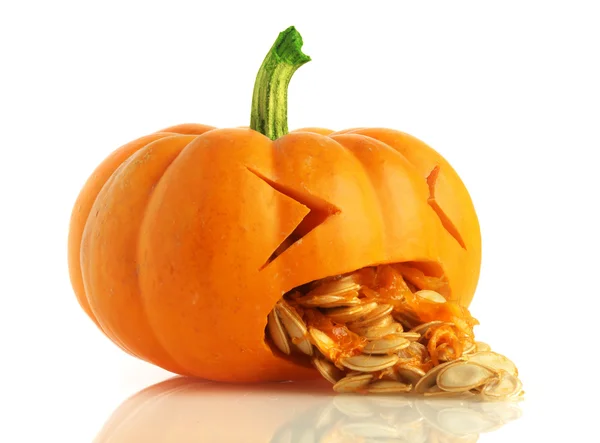 Calabaza estando enferma — Foto de Stock