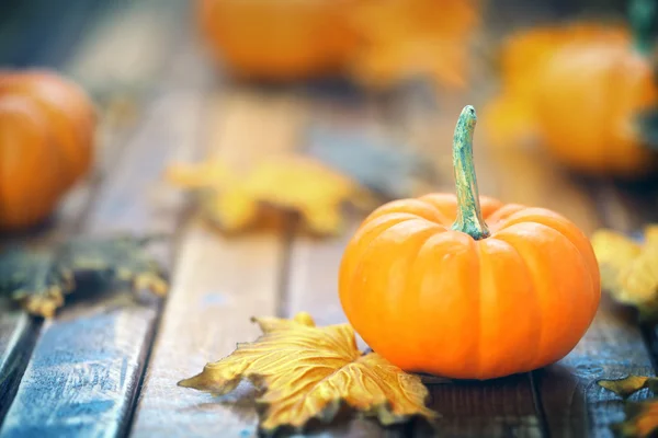 Autunno zucca sfondo — Foto Stock