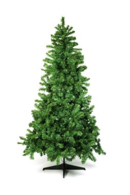 Unadorned Christmas tree isolated on white clipart