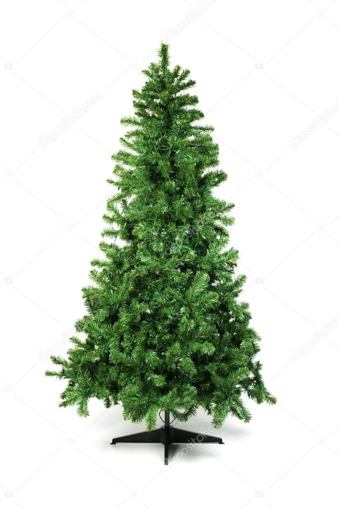 Unadorned Christmas tree isolated on white