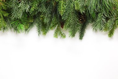 Christmas tree branches background clipart