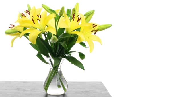 Yellow Lily Time-lapse — Stock Video