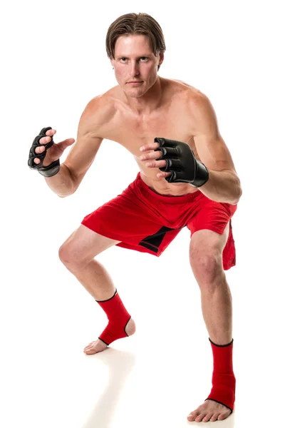 Martial Artist — Stock Photo, Image