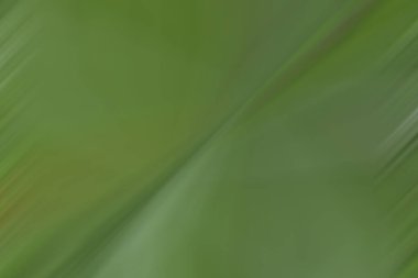 Parlak yeşil arka plan sulu renkler moda eğilimi