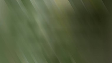 parlak trend tasarımı soyut yeşil arkaplan