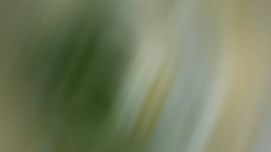 parlak trend tasarımı soyut yeşil arkaplan