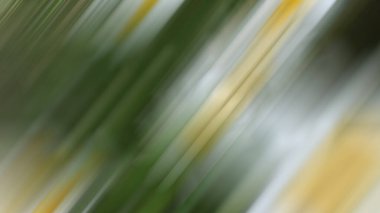 parlak trend tasarımı soyut yeşil arkaplan