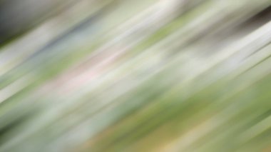 parlak trend tasarımı soyut yeşil arkaplan