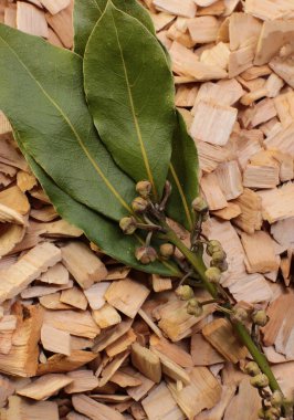 Kızılağaç ve kayın ağaçlarının yapraklı ve dallı karışımını içmek için odun parçaları.