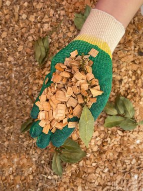 Kızılağaç ve kayın ağaçlarının yapraklı ve dallı karışımını içmek için odun parçaları.