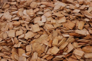 Makro fotoğraf doğal ekolojik odun kırıntıları. Esmer ve kayın ağaçlarının küçük bir karışımını tüttürmek için.