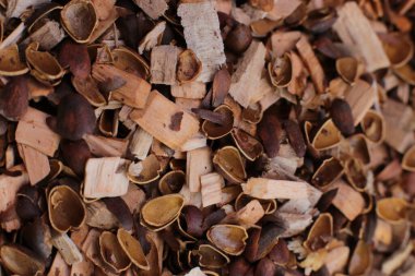 Makro fotoğraf doğal ekolojik odun kırıntıları. Esmer ve kayın ağaçlarının küçük bir karışımını tüttürmek için.