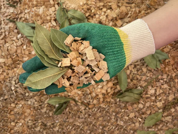 Natuurlijke Ecologische Houtsnippers Voor Het Roken Van Een Mengsel Van — Stockfoto