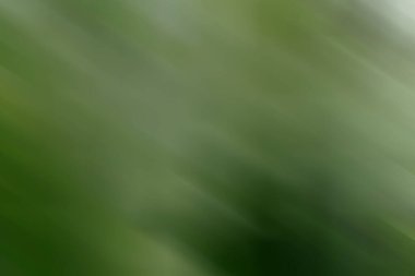 yeni moda yeşil arkaplan çok sayıda yeşillik tonları