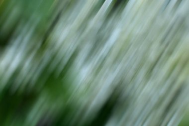 yeni moda yeşil arkaplan çok sayıda yeşillik tonları