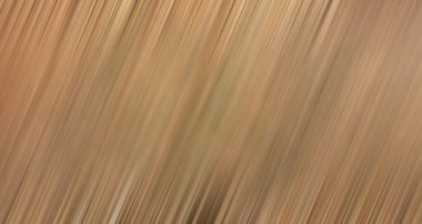 yeni çıplak moda bej arkaplan kahverenginin birçok tonu