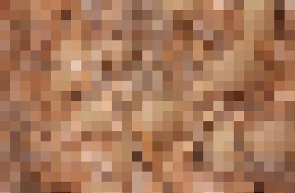 Neuer Nudefarbener Trendiger Beiger Hintergrund Mit Vielen Brauntönen — Stockfoto