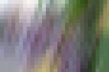 yeni pembe moda tasarım arkaplan mavisi morun birçok tonu