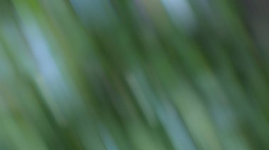 Moda yeşili arka plan ilginç doku gölgeleri