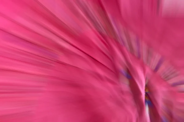 Модний Рожевий Фон Цікава Текстура Відтінків Фуксії — стокове фото