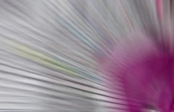 Модный Фиолетовый Фон Интересный Контур Текстуры Фуксии — стоковое фото