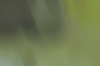 Parlak mavi renkli arka plan, yeşil anahat farklı pastel tonu