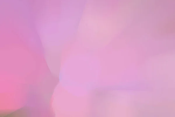 Helder Roze Trendy Achtergrond Fuchsia Kleur Schets Verschillende Pastel Schaduw — Stockfoto
