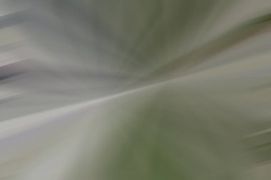 Parlak gri renkli arka plan, çıplak çizim farklı pastel bej tonu