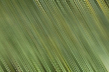 parlak yeşil trend arka plan, soyut desen