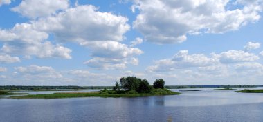 Tver bölgesinde Shosha nehrinin ortasında büyüyen ağaçları olan küçük bir ada. Güneşli bir yaz gününde su manzarası. Rusya.