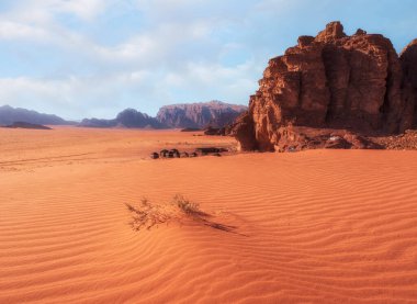 Ürdün 'deki ünlü kırmızı çöl Wadi Rum' unda arka planda bir diken bulunan kum tepeciği.