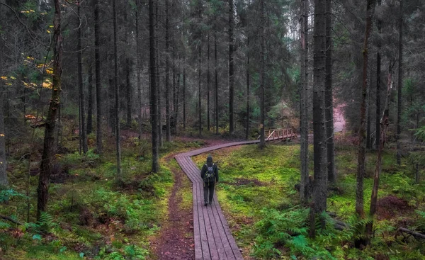 Mężczyzna Kroczący Ścieżką Mglistym Ciemnym Lesie Jesienią Wieczorem — Zdjęcie stockowe