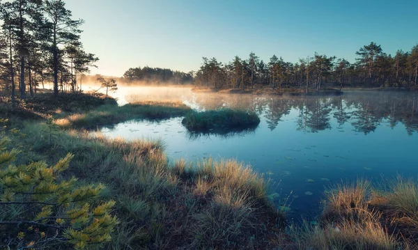 Jesienny Poranek Bagnach Krajobraz Naturalny Parku Narodowym Ozernoye Bagna Mgłą — Zdjęcie stockowe