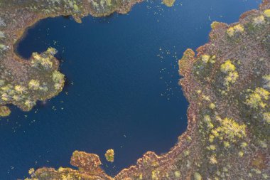 Ormanda adaları olan sonbahar mavi gölü, insansız hava aracı ile hava manzarası