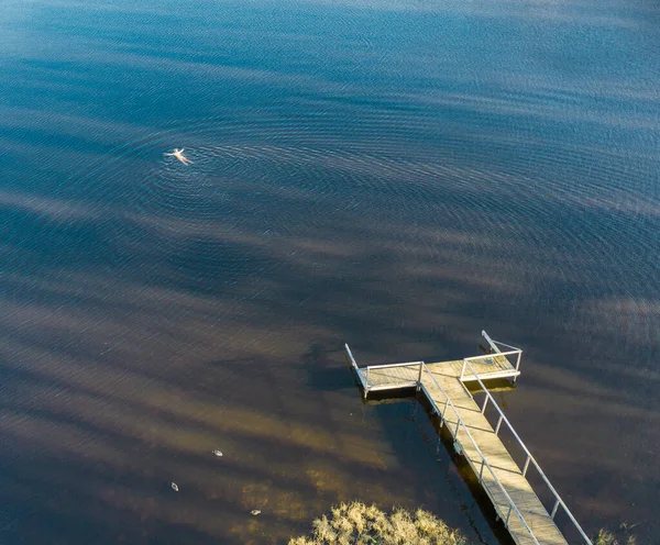 Woman Swims Lake Ducks Nature Pier Aerial View Drone — Stock Photo, Image