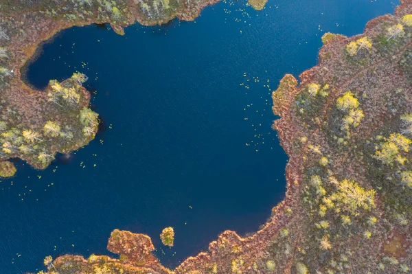 Осіннє Блакитне Озеро Островами Лісі Вид Повітря Безпілотник — стокове фото