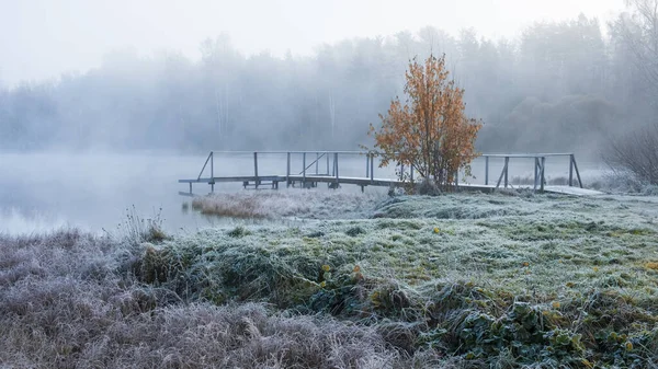 Yellow Tree First Frost Forest Misty Lake Pier Autumn Landscape — Stock Photo, Image